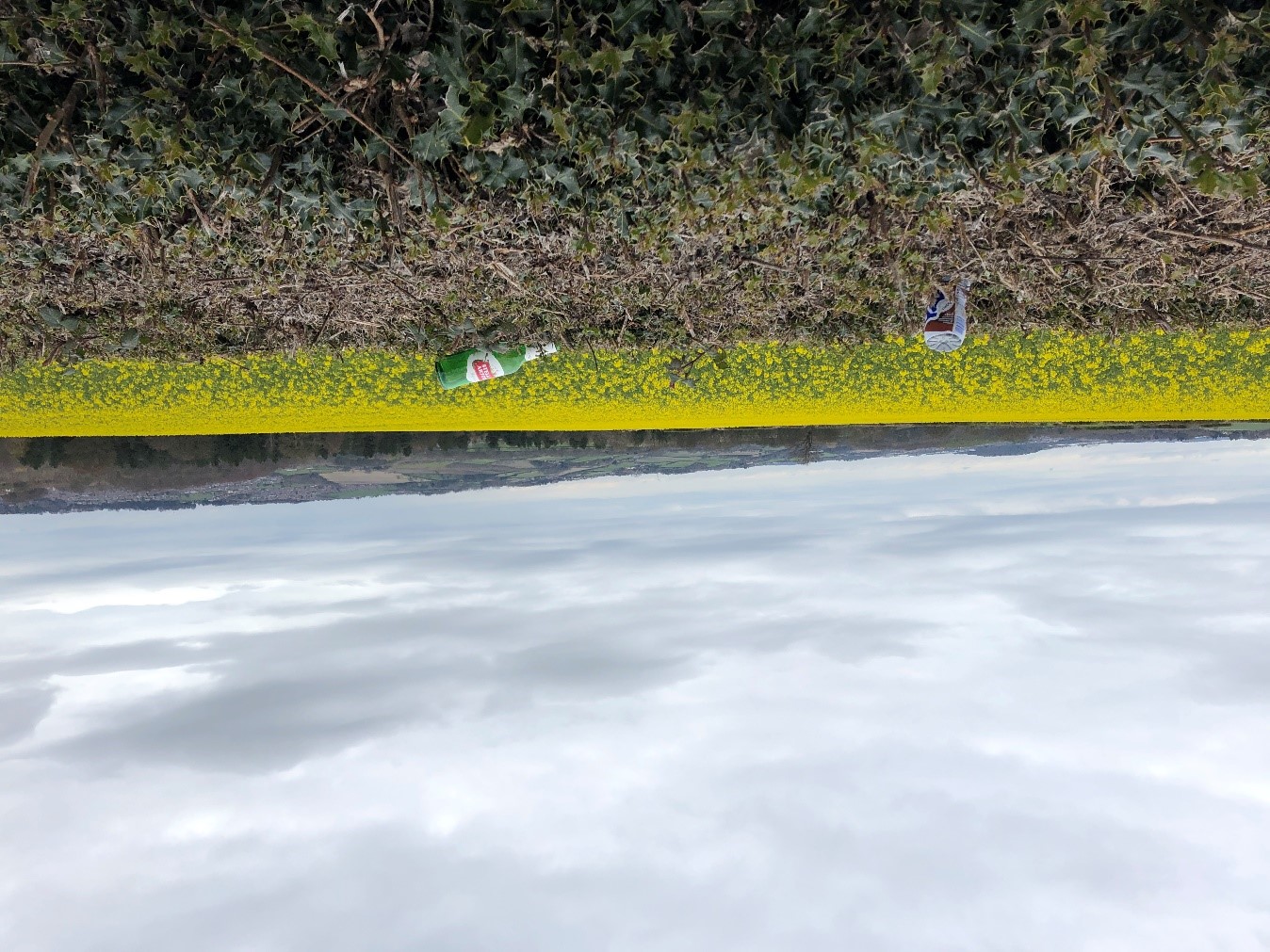 Litter Landscape.jpg