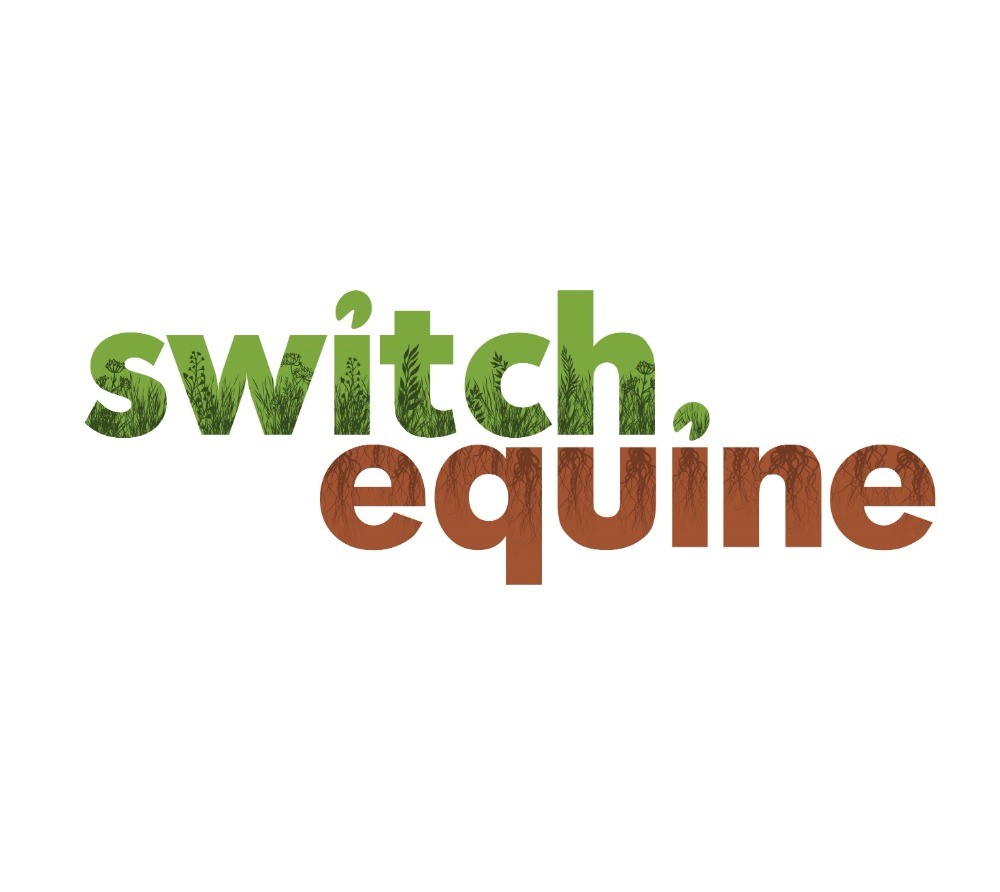 Switch Equine Image